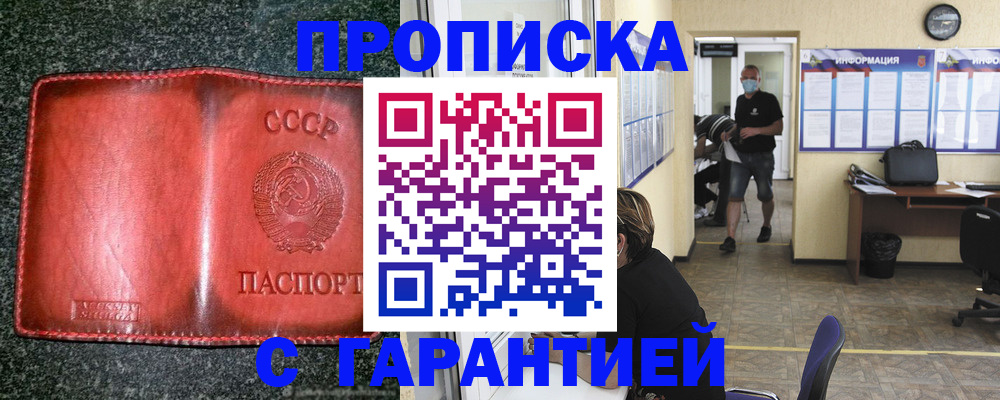 прописка гарантия в Щиграх